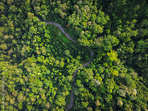 aerial view of road in the middle of rainforest