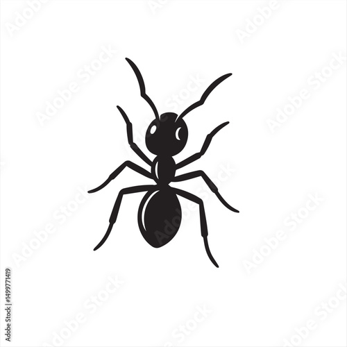 ant isolated on white background