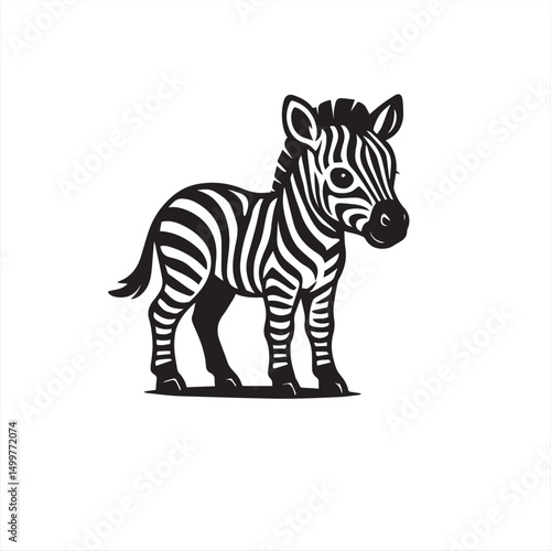 zebra vector illustration