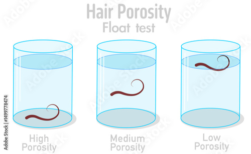 Hair porosity, float test experiment. Low, medium, high porosity. Cuticle layer, products. in a glass full of water.. Vector illustration