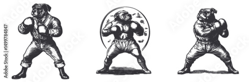 Vintage Boxer Dogs Engraved Illustration in Classic Woodcut Style