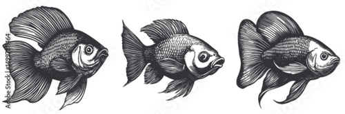 Detailed Engraved Fish Illustrations in Black and White Style