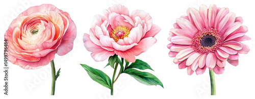 Wallpaper Mural PNG Elegant pink floral illustrations, element set on transparent background Torontodigital.ca