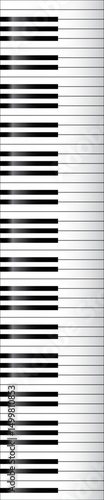 Full Piano Keys Set