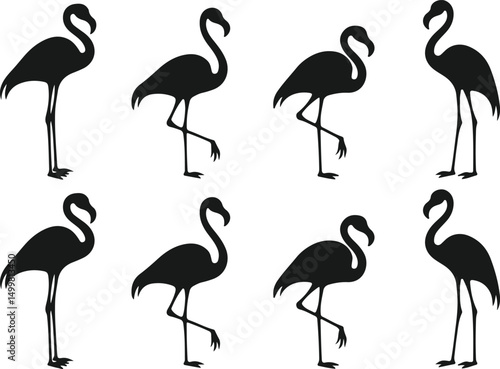 Elegant flamingo silhouettes a collection of bird graphics