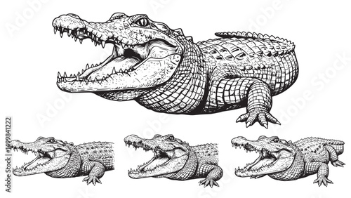 Vintage engraved alligator with open mouth sharp teeth detailed tongue scaly skin and powerful jaw