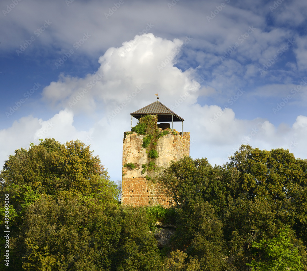 Fototapeta premium The archaeological area of Castel d'Asso, full of testimonies from the Etruscan period to the Middle Ages - medieval castle (15th century), Viterbo, Italy