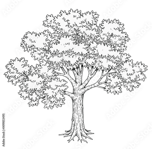 Trees_Axonometric view 