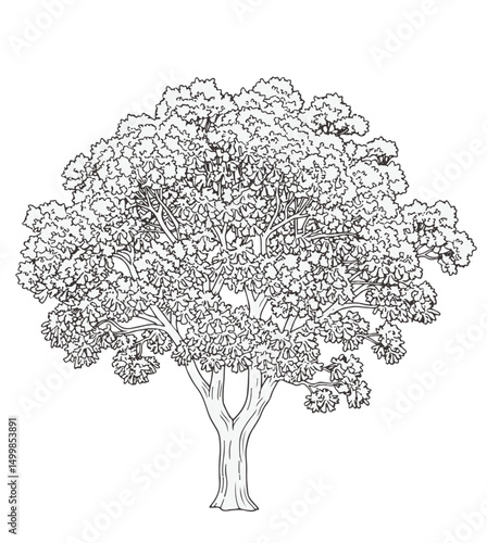 Trees_Axonometric view 