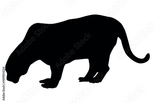 Silhouette of a black panther crouching and sniffing the ground