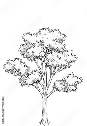 Trees_Axonometric view 