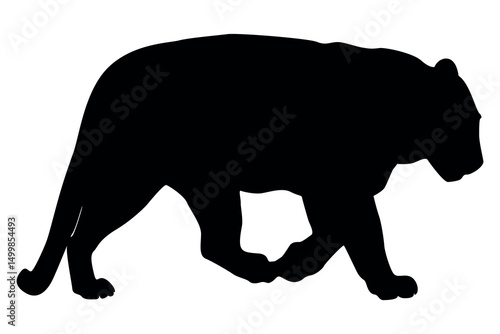 Silhouette of a powerful black panther walking with its head down