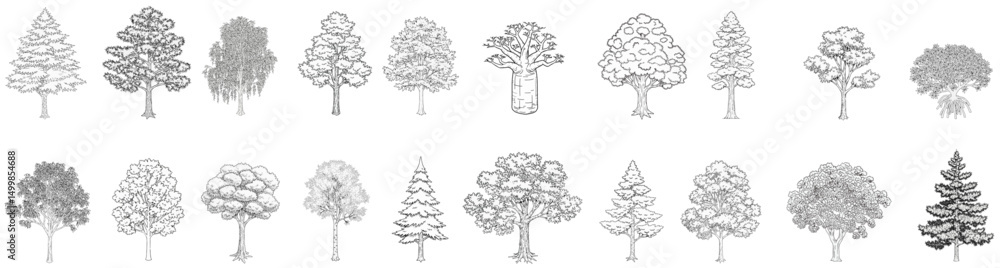 Fototapeta premium Trees_Axonometric view 