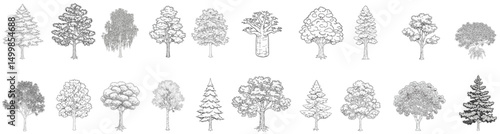 Trees_Axonometric view 