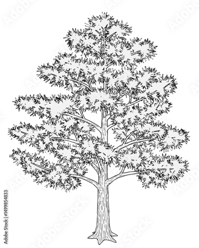 Trees_Axonometric view 