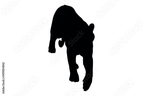 Black silhouette of a powerful tiger walking forward on a white background