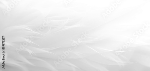 white silk background