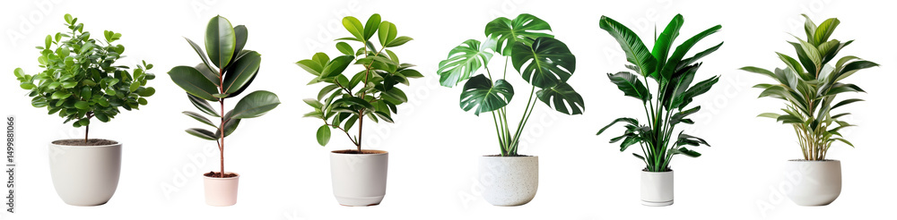 Naklejka premium PNG Diverse indoor potted plant collection, element set on transparent background
