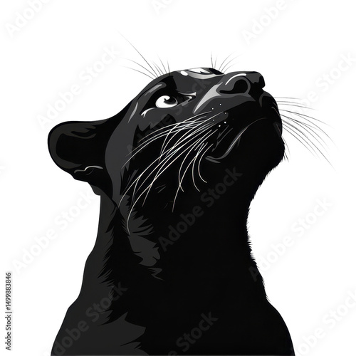 black panther isolated in transparent background