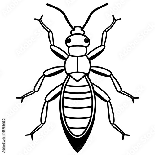 Termite Outline Design