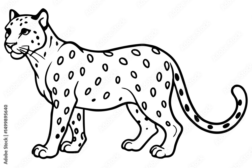 Fototapeta premium White Snow Leopard Line Art