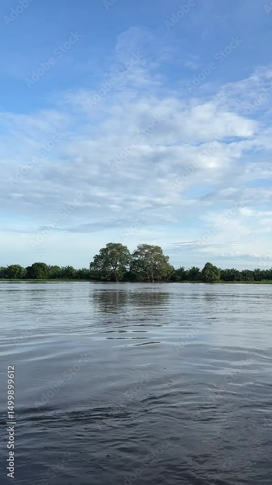 river atmosphere with flowing water river atmosphere with flowing water