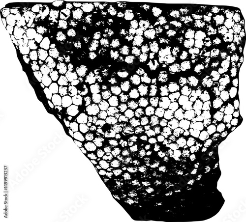 Piece of dirty polystyrene foam silhouette
