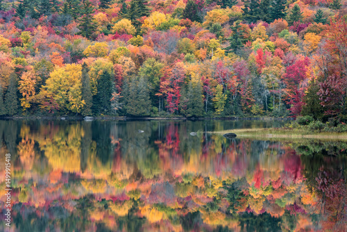 Canvas Print Harris Lake Fall Reflections