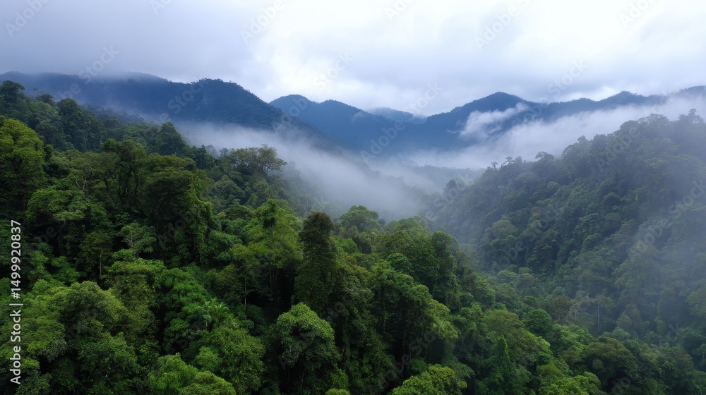 Lush green rainforest landscape with misty mountains in the background under cloudy skies Lush green rainforest landscape with misty mountains in the background under cloudy skies