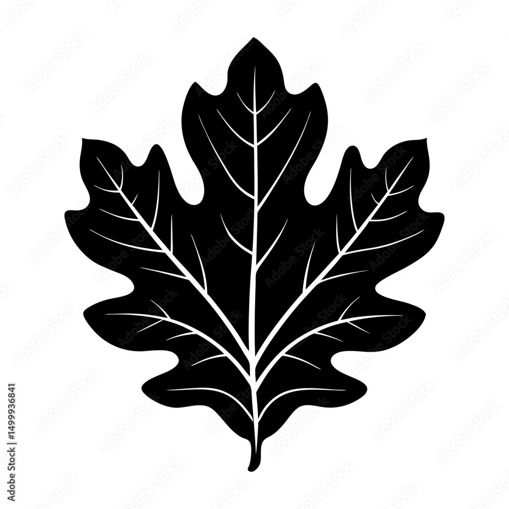 Fototapeta premium Oak Leaf Silhouette vector
