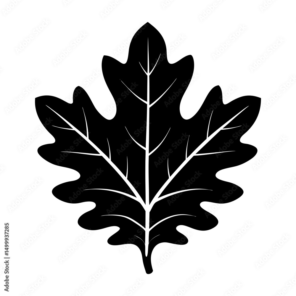 Fototapeta premium Oak Leaf Silhouette vector