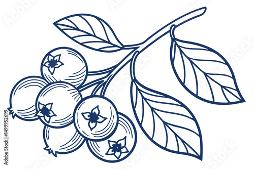 Blueberry Flat Vector Illustration Bilberry Logo Icon Clipart.