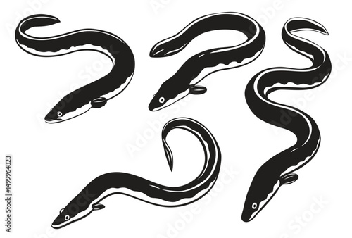 Eel vector logo isolated on white background.