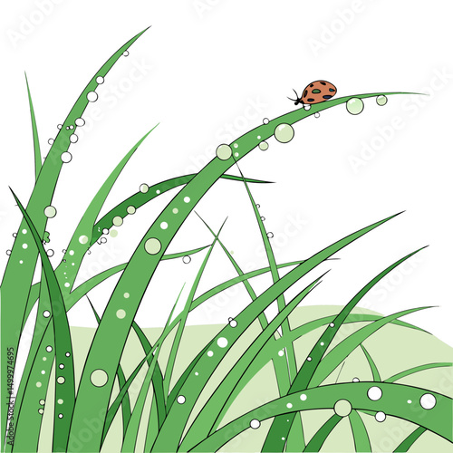 Morning Dew Ladybug on Grass Blades	