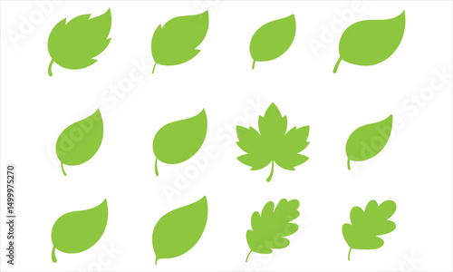 green leaf set icon silhouette vector on white background.