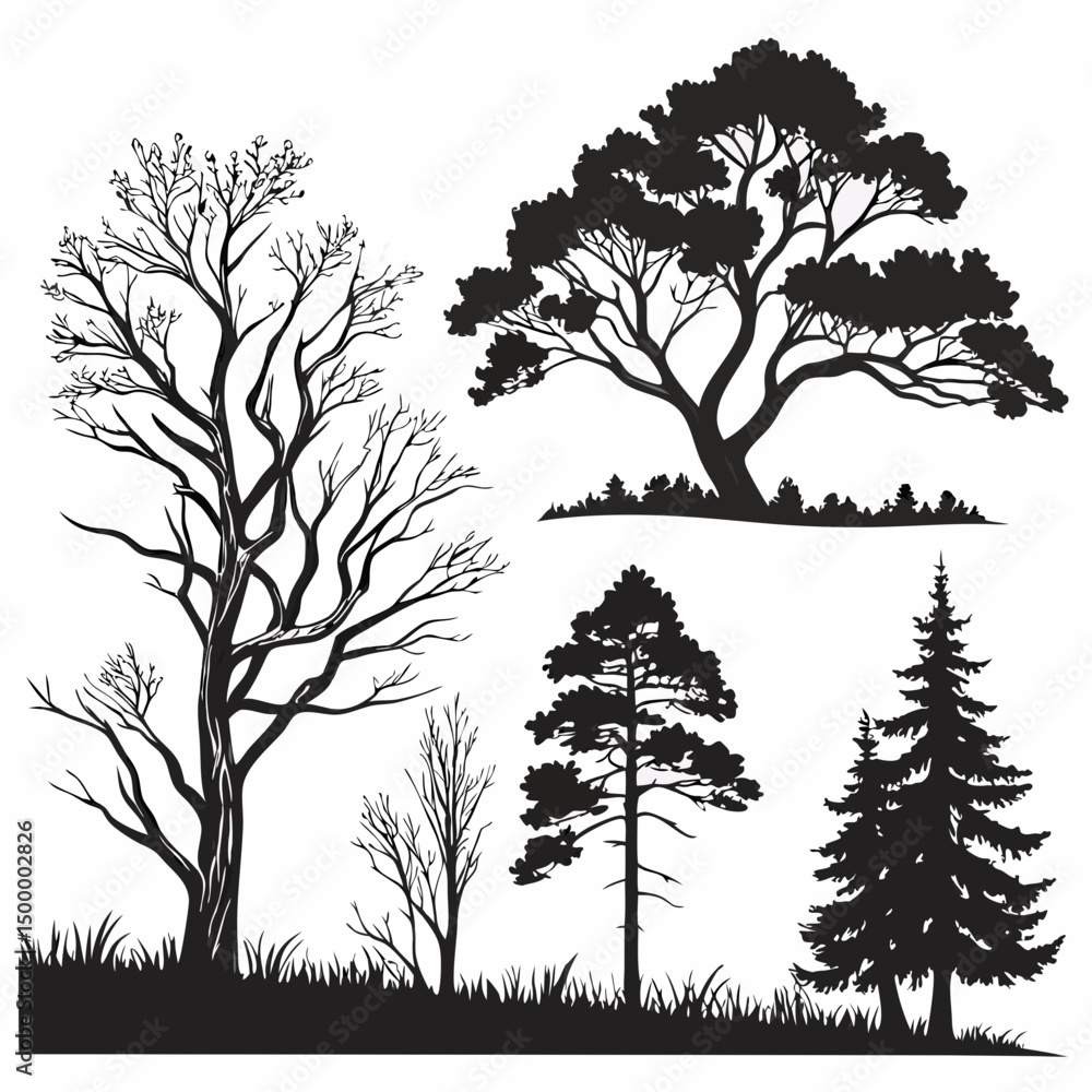 Obraz premium Trees set isolated. Forest background, nature, landscape.