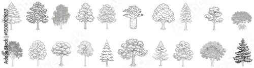 Trees set_Axonmetric_20
