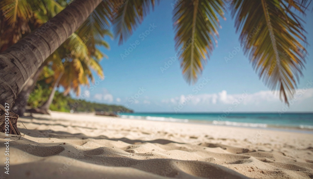 Obraz premium tropical beach with palm trees background with copy space. Generated Image