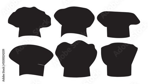 Scallop Shells 6 Variations