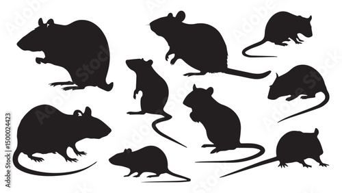 Rats Silhouettes Images  Vectors