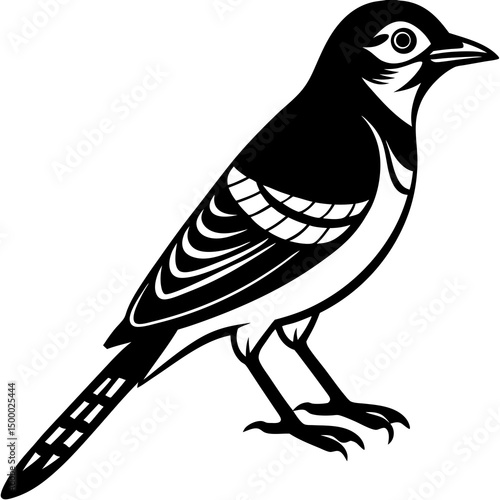 Jay Bird Perched Vector Style On White