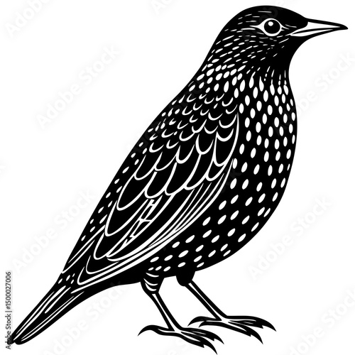 Starling Bird Perched Vector Style On White
