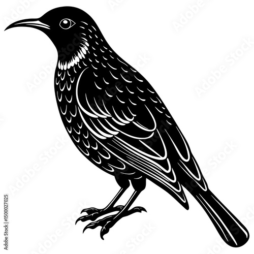 Sunbird Perched On White