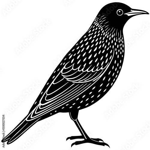 Starling Bird Perched Vector Style On White