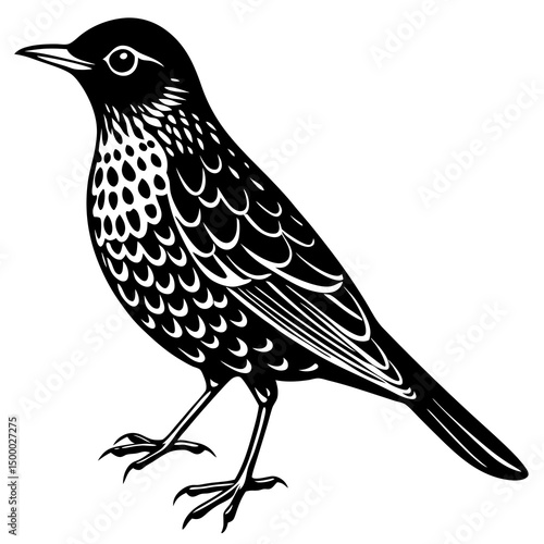 Thrush Bird Perched On White