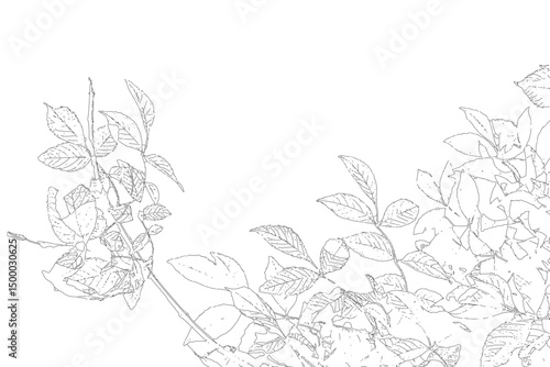 Vector illustration of a natural frame with copy space, created from the contour of deciduous tree branches. Perfect for seasonal, botanical, or nature-themed designs. Ideal for invitations