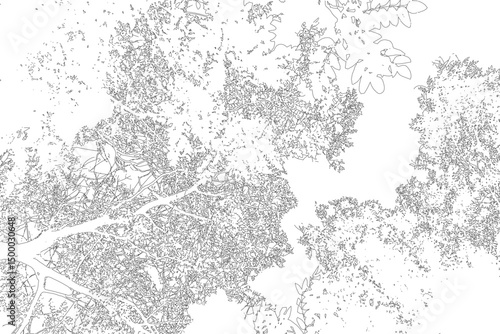 Vector illustration of a natural frame with copy space, created from the contour of deciduous tree branches. Perfect for seasonal, botanical, or nature-themed designs. Ideal for invitations