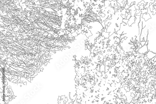 Vector illustration of a natural frame with copy space, created from the contour of deciduous tree branches. Perfect for seasonal, botanical, or nature-themed designs. Ideal for invitations