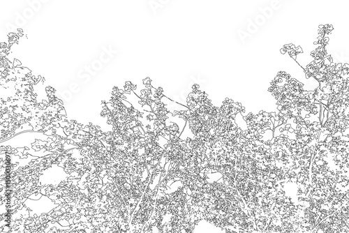 Vector illustration of a natural frame with copy space, created from the contour of deciduous tree branches. Perfect for seasonal, botanical, or nature-themed designs. Ideal for invitations
