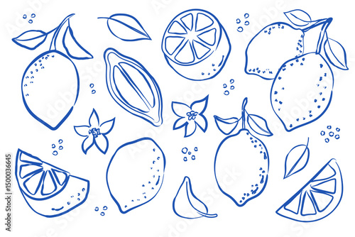 Charming handdrawn lemons and delightful citrus fruits, perfect for inspiration